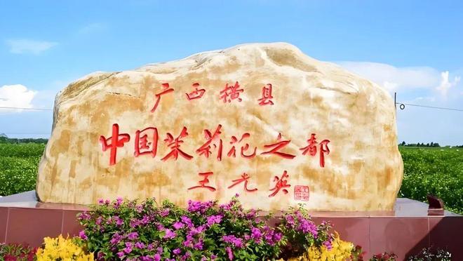 茉莉之名绽放民族品牌新篇章PG麻将胡了植粹花海：以(图3)